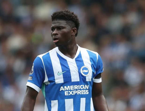 mu-nhan-tin-vui-vu-baleba-hlv-amorim-mung-tham